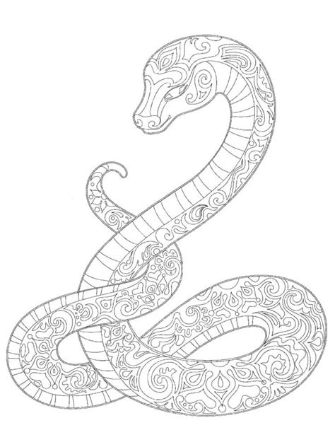snake coloring pages  year coloring pages detailed coloring pages