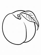 Peach Coloring Pages Print Color Kids Fruits sketch template