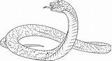 Coloring Snake Cobra King Pages Drawing Rattlesnake Anaconda Realistic Colouring Drawings Snakes Spitting Printable Color Diamondback Sheets Western Getcolorings Mucha sketch template