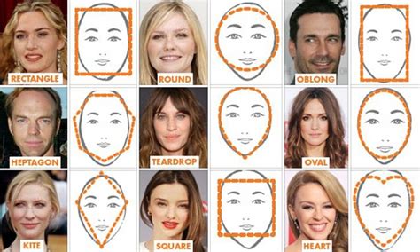 scientists  identified  distinct face shapes   groups