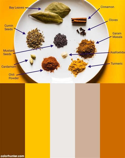 indian spices with labels color scheme from indian