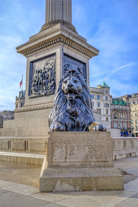lion statue  trafalgar square postcard zazzle trafalgar square british isles travel