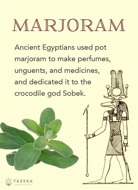 Ancient Egypt Herbal Medicine