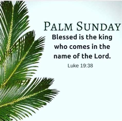 palm sunday blessed   king pictures   images