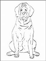 Setter Designlooter sketch template