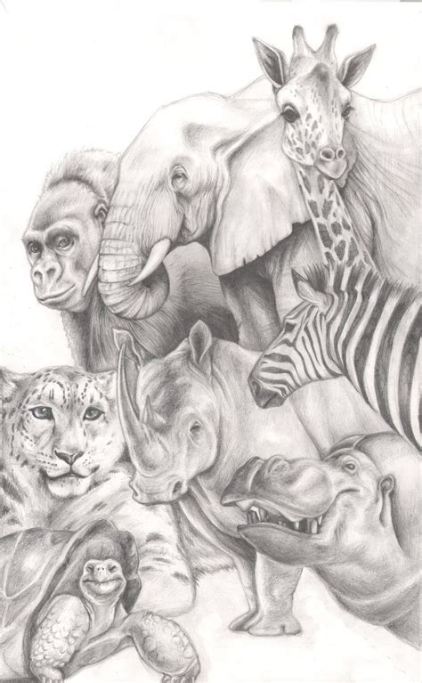 animals animal drawings animal sketches animal art