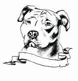 Pitbull Coloring Bulls Sketch Pitbulls Silhouette Stencils Golfian Chien Staffordshire Dogo Mad Ouvrir Publicada sketch template