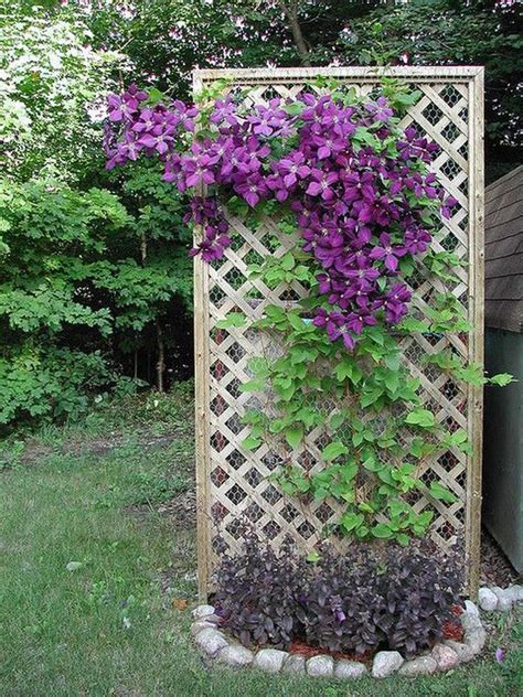 Awesome Tips For Growing Clematis To Beautify Your Outdoors Backyard