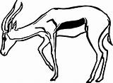 Antelope Coloring Drawing Animal Pages Getdrawings Printable Color Getcolorings sketch template