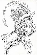 Xenomorph Coloring Predator Aliens Colorare Colorear Xenomorfo Getdrawings Disegni Comission 1856 Draws Espejo Ission öffnen Terminator Judgement Biagini sketch template