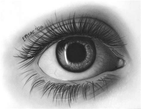 charcoal drawing  eyes viewing gallery