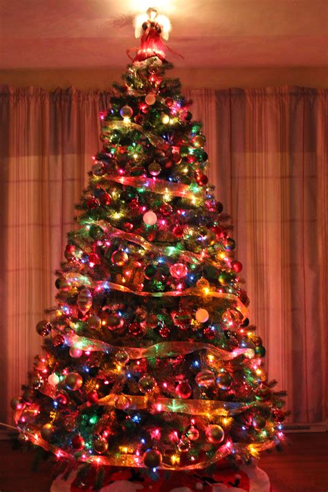 traditional christmas tree christmas tree with coloured lights