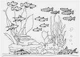Aquarium Fish Tank Coloring Pages Sketch Drawing Color Printable Kids Print Paintingvalley Getcolorings sketch template