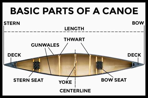 parts   canoe bow  stern basics paddle camp   kayaking