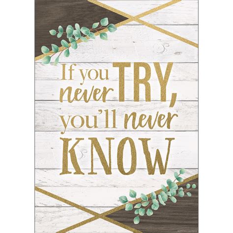 if you never try you ll never know positive poster tcr7979 teacher