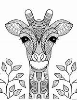 Adulte Zentangle Girafe sketch template
