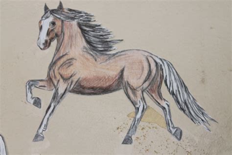 horses easy drawing  getdrawings