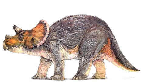 juvenile triceratops animatronic jurassic pedia