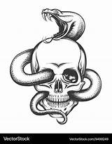 Snake Skull Drawing Cobra Head Vector Clipart Human Engraving Illustration Drawings Tattoo Dessin Serpent Skulls Crawling Outline Royalty Graphicriver Style sketch template