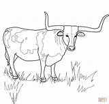 Longhorn Coloring Texas Pages Steer Cattle Bull Drawing Printable Cow Supercoloring Color Horn Longhorns Ferdinand Animal Kids Skull Getdrawings Popular sketch template