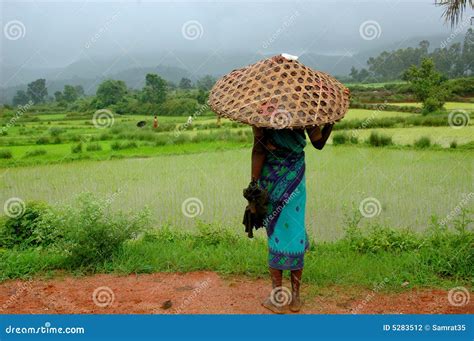 moesson stock foto image  vrouwen paraplu leven nave
