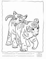 Tiger Coloring Pages Baby Cute Tigers Lsu Kids Printable Sheets Colouring Color Mother Cub Animals Footprints Sand Print Cubs Colour sketch template