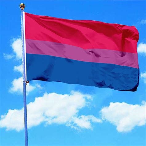 bi pride flag bisexual flag banner gay lesbian lgbt with brass grommets