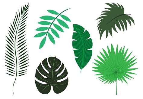 vector set  palm leaves   vector art stock graphics