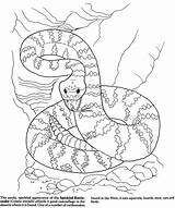 Dessert Rattlesnake Camouflage Doverpublications Coloringhome Dover Wetlands Publications sketch template