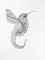 Hummingbird Drawing Zentangle Wall Illustration Ink Etsy Colibri Throated Ruby Pen Getdrawings Bird Drawn sketch template