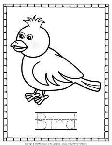 printable bird coloring pages bird coloring pages coloring
