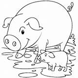 Pig Designlooter Hamm Piglet sketch template