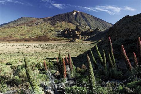 mount teide full day small group   tenerife