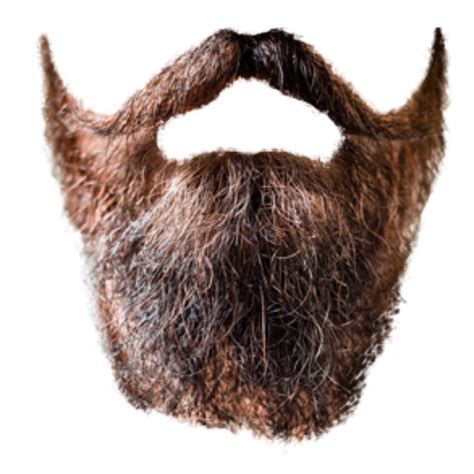 beard png transparent images pictures  png arts