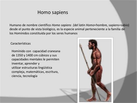 hominidos