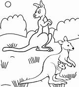 Coloring Kangaroo Fun Pages Ones Cute Little sketch template
