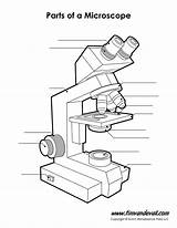 Microscope Diagram Unlabeled Parts Blank Labeled Fill Blanks Science sketch template