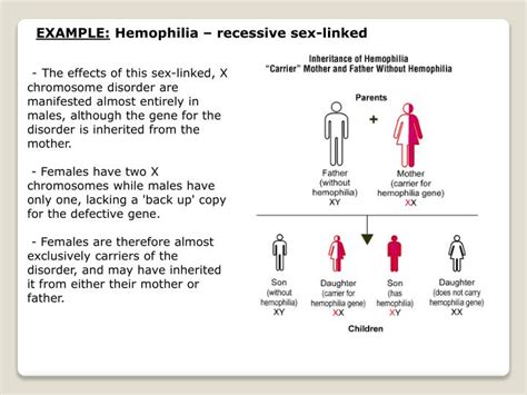 Ppt Sexual Reproduction And Genetics Chp10 10 1