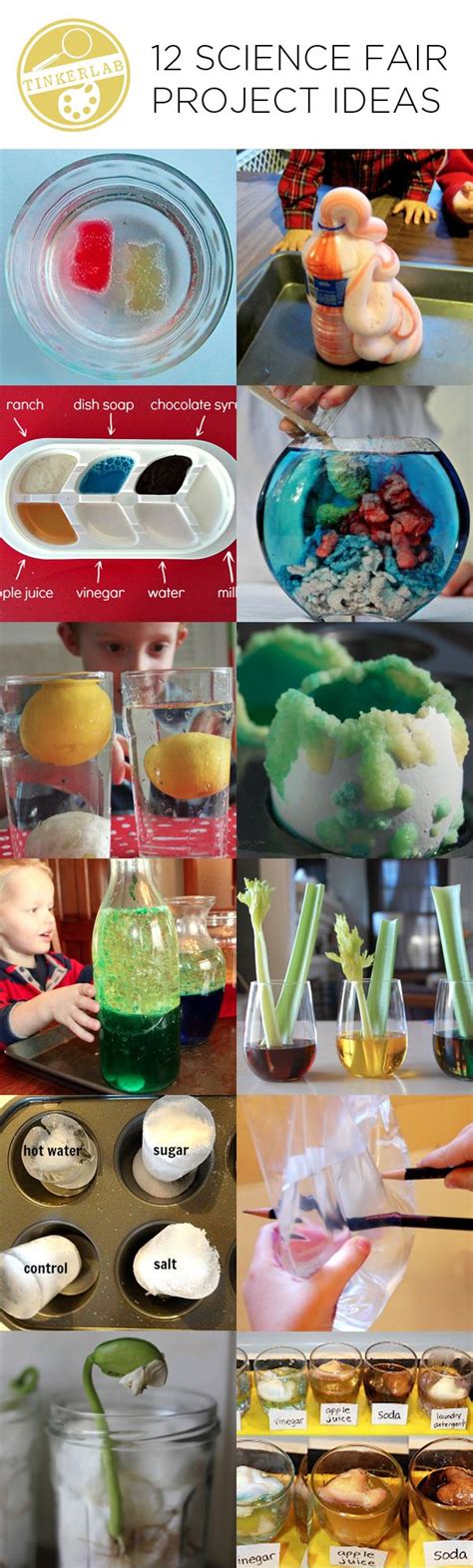 science images  pinterest day care teaching science
