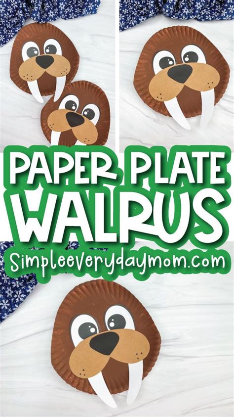 paper plate walrus craft  kids  template toddler arts