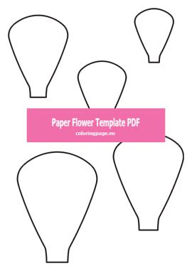 paper flower template  coloring page