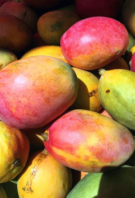 how to cut a fresh mango and helpful tips the foodie affair