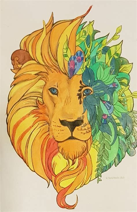 lion coloring pages  colored thekidsworksheet