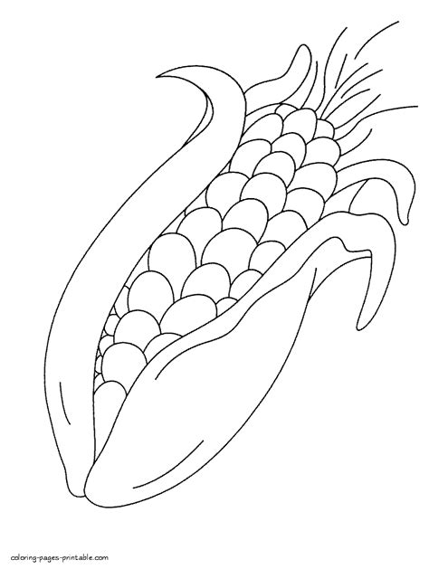 sweet corn colouring page  kids coloring pages printablecom