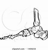Vector Sketched Bones Foot Human Illustration Royalty Tradition Sm Clipart sketch template