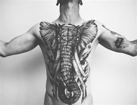 striking animal tattoos  reveal  predator  scene