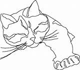 Cat Line Drawing Calico Coloring Sleepy Only Outline Drawings Pages Contour Clip Sleeping Clipart Cats Easy Pixabay Face Vector Cliparts sketch template