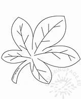 Chestnut Leaf Autumn Pattern Coloring Coloringpage Eu sketch template