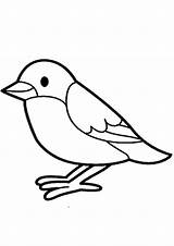 Vogel Ausdrucken Malvorlagen Malvorlage Vögel sketch template