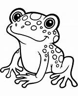 Frog Coloring Pages Animals Water Exotic Easy Kids Topcoloringpages Print Children Sea Printables Coloriage Grenouille Printable Sheet Sheets Animal Dessin sketch template